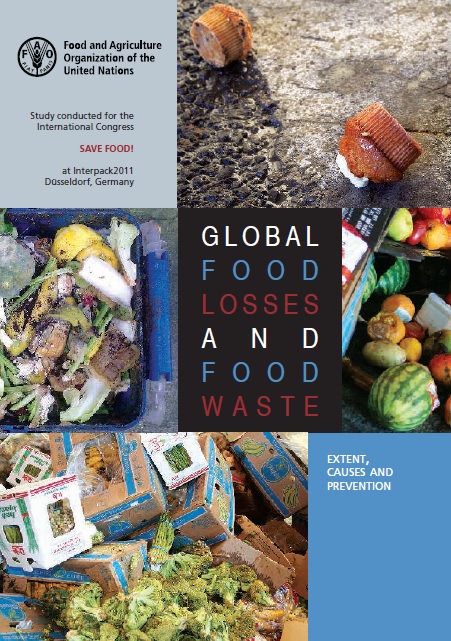 Definitional framework of food loss